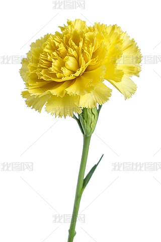 Sɫܰڰɫµoϛ](mi)~ӸDƬ