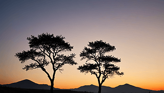 Ϧ(yng)µăɿØȻL(fng)L(fng)DƬ