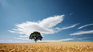 һØȻL(fng)L(fng)DƬ