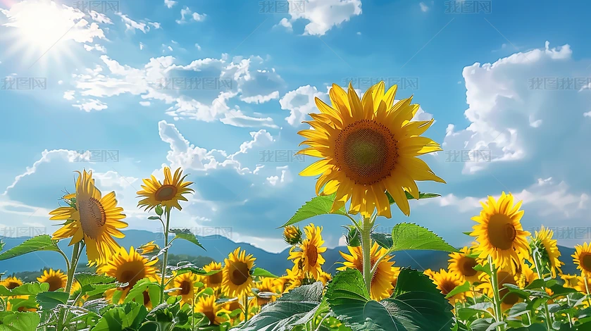 տr