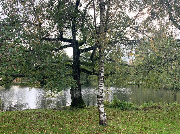 zӰD