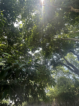 L(fng)  Ȼ  ~ ֦ L(fng)D