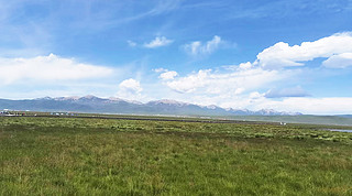 ݵɽ{(ln)ƵƽȻ^L(fng)D