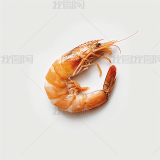 rʺrrˮaBֳ