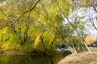 @ﾰ ̫ S~ ڼ  ~ ꖹ 