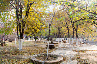 @ﾰ ̫(yng) S~ ڼ (sh) (sh)~ (yng) 