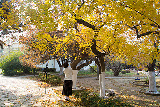 @ﾰ ̫(yng) S~ ڼ (sh) (sh)~ (yng) 