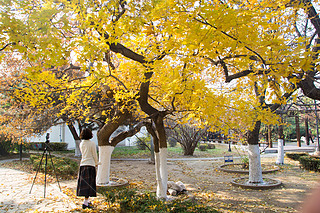 @ﾰ  ̫ S~ ڼ  ~ ꖹ 