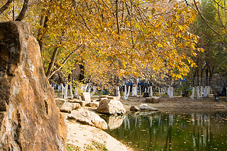 @ﾰ  ̫ S~ ڼ  ~ ꖹ 