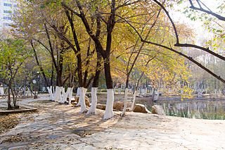 @ﾰ (sh) ̫(yng) S~ ڼ (sh) (sh)~ (yng) 