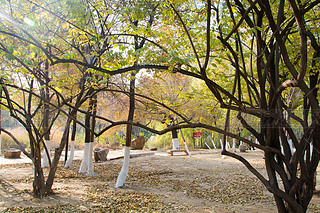 @ﾰ ̫(yng) S~ ڼ (sh) (sh)~ (yng) 