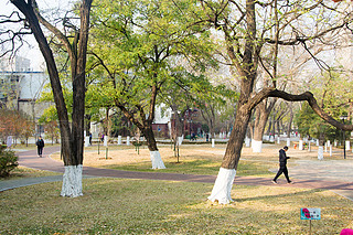 @ﾰ ̫ S~ ڼ  ~ ꖹ 