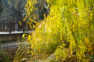 @ﾰ ̫ S~ ڼ  ~ ꖹ 