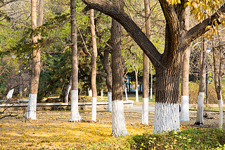 @ﾰ  ̫ S~ ڼ  ~ ꖹ 