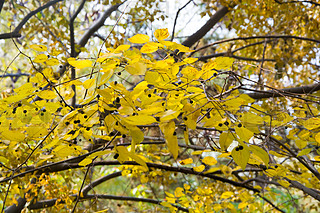 @ﾰ ̫ S~ ڼ  ~ ꖹ 