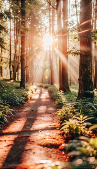 ꖹgС·@L(fng)宋b