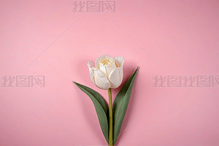 ۼtɫõ帩ҕDһƽDƬ