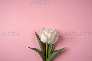 ۼtɫõ帩ҕDһƽDƬ