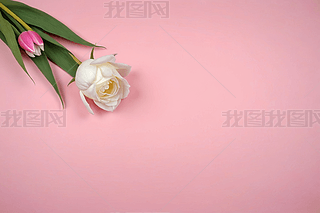 ۼtɫõ帩ҕDһƽD