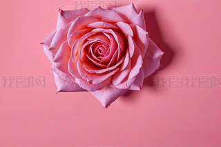 ɫõӲӰ(chung)ⲼƽRD