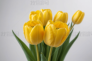 Sɫ㻨ɫ(chung)OӋbD