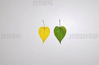 ɐĘ~һSһGŔ[ŰɫD