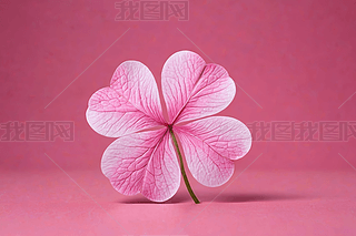~ݷۼtɫD