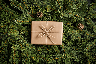 ţƤKȻɼ֦bB(ti)ʥQbD