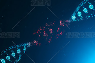 t(y)DNAg(sh)(sh)δ(li)߿ƼD