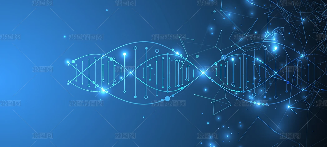 t(y)DNA