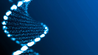 t(y)DNAg(sh)(sh)δ(li)߿ƼD