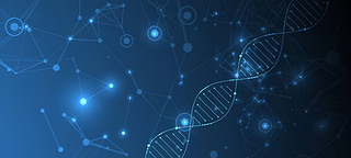 t(y)DNAg(sh)(sh)δ(li)߿ƼD