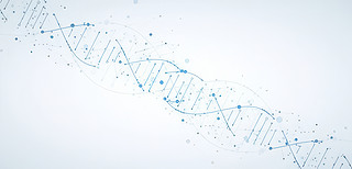 t(y)DNAg(sh)(sh)δ(li)߿ƼD