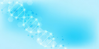 t(y)DNAg(sh)(sh)δ(li)߿ƼD