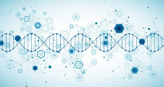 t(y)DNAg(sh)(sh)δ߿ƼD