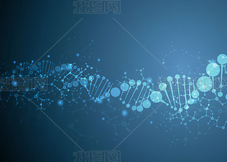 t(y)DNAg(sh)(sh)δ(li)߿ƼD