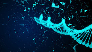 t(y)DNAg(sh)(sh)δ(li)߿ƼD