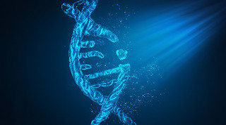 t(y)DNAg(sh)(sh)δ(li)߿ƼD