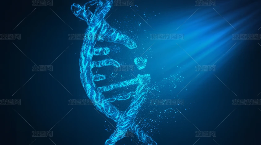 t(y)W(xu)dna