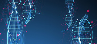 t(y)DNAg(sh)(sh)δ(li)߿ƼD