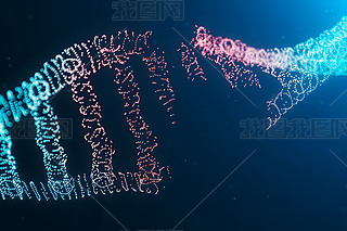 t(y)DNAg(sh)(sh)δ(li)߿ƼD