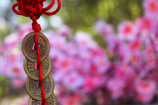 L(fng)ˮŎX~XԪXňDƬ