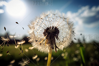 (chung)ݵ¶{촵ɢѹӢСNֲ