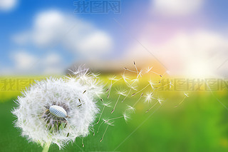 (chung)ݵ¶{촵ɢѹӢСNֲ