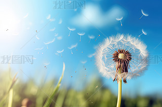 (chung)ݵ¶{촵ɢѹӢСNֲ