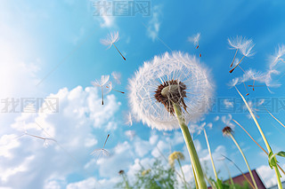 (chung)ݵ¶{촵ɢѹӢСNֲ