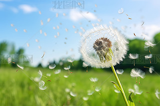 (chung)ݵ¶{촵ɢѹӢСNֲ