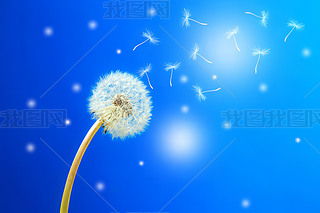 (chung)峿ɢѹӢСNֲ