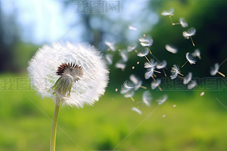 (chung)ݵ¶{촵ɢѹӢСNֲ