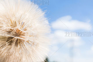 (chung)峿ɢѹӢСNֲ